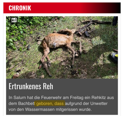 Die Neue Südtiroler Tageszeitung schreibt, ein Rehkitz sei in Salurn aus dem Bachbett 